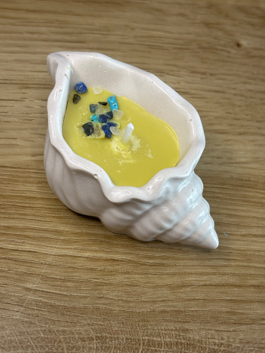 Bougie apaisement (pêche-monoï)
