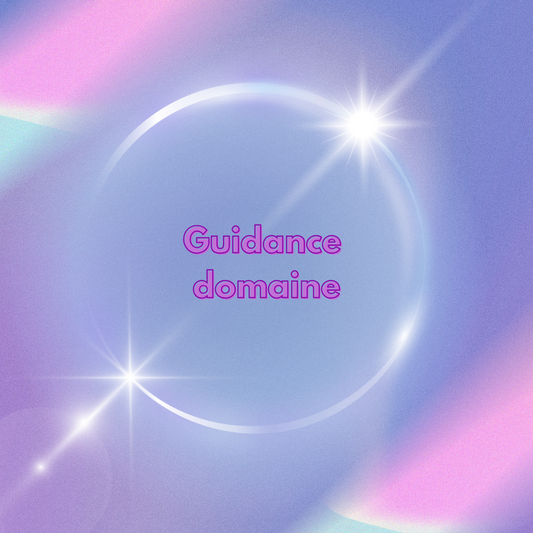 Guidance domaine